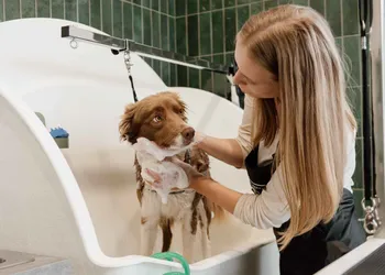 Groomerka kąpie psa w wannie w salonie